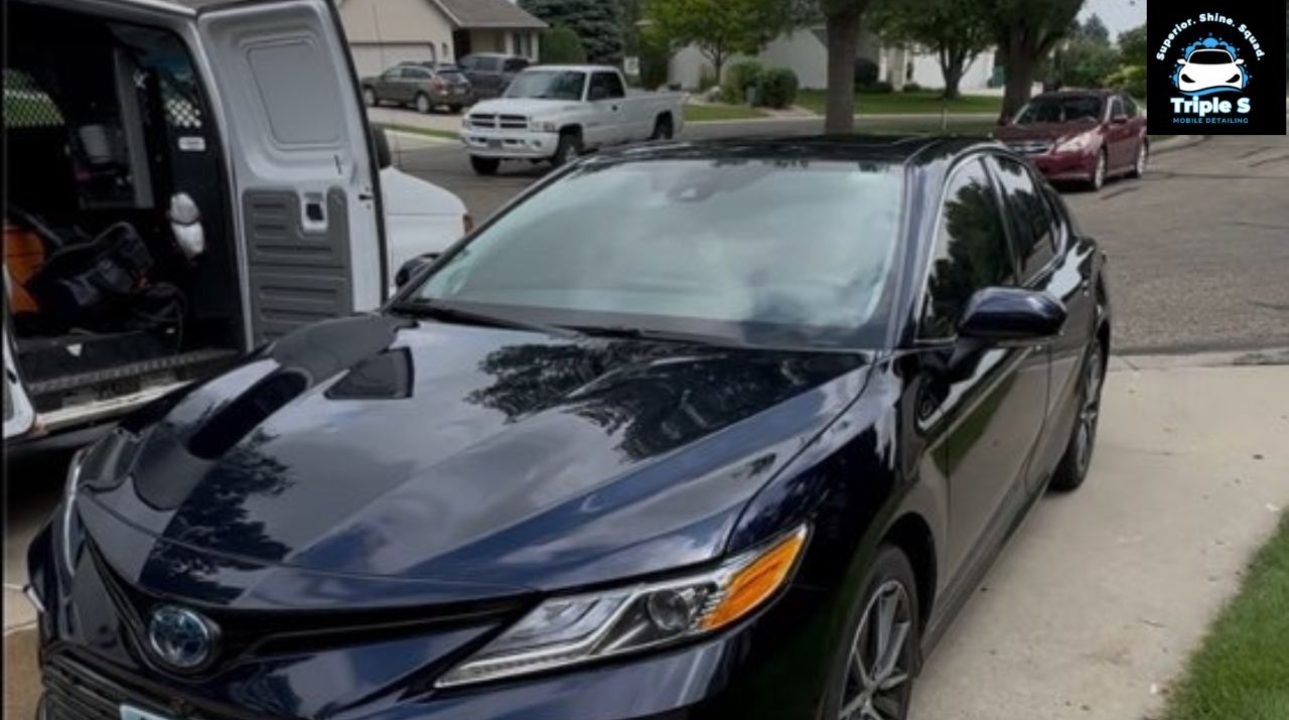 Professional Car Detailing